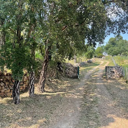 Vila De Charme Au Coeur Du Maquis Corse