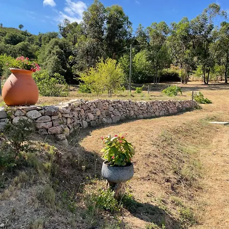 De Charme Au Coeur Du Maquis Corse Tavaco