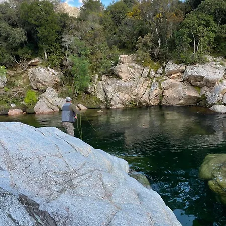 De Charme Au Coeur Du Maquis Corse * Tavaco
