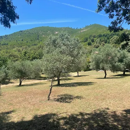 De Charme Au Coeur Du Maquis Corse Villa Tavaco