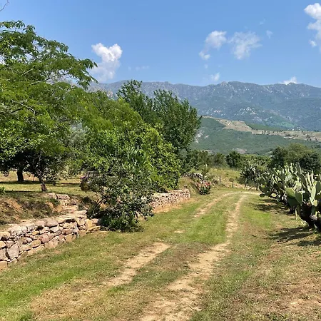 Villa De Charme Au Coeur Du Maquis Corse